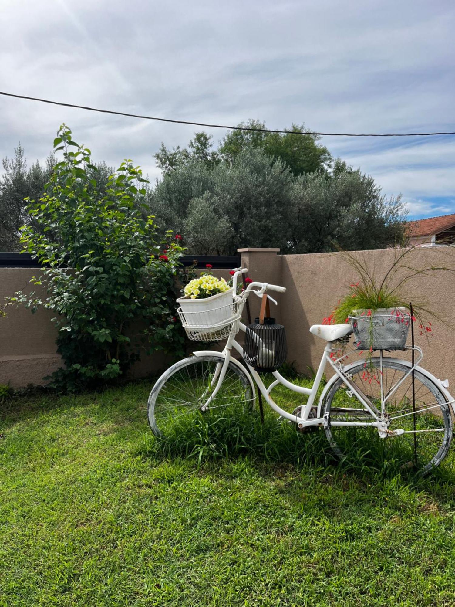 Apartman Marta Zara Esterno foto